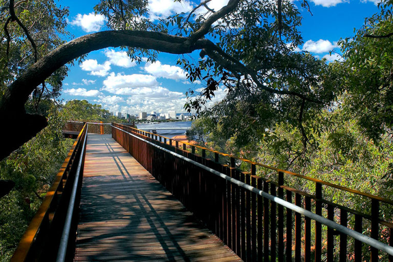 Lotterywest Federation Walkway, Kings Park With Studio