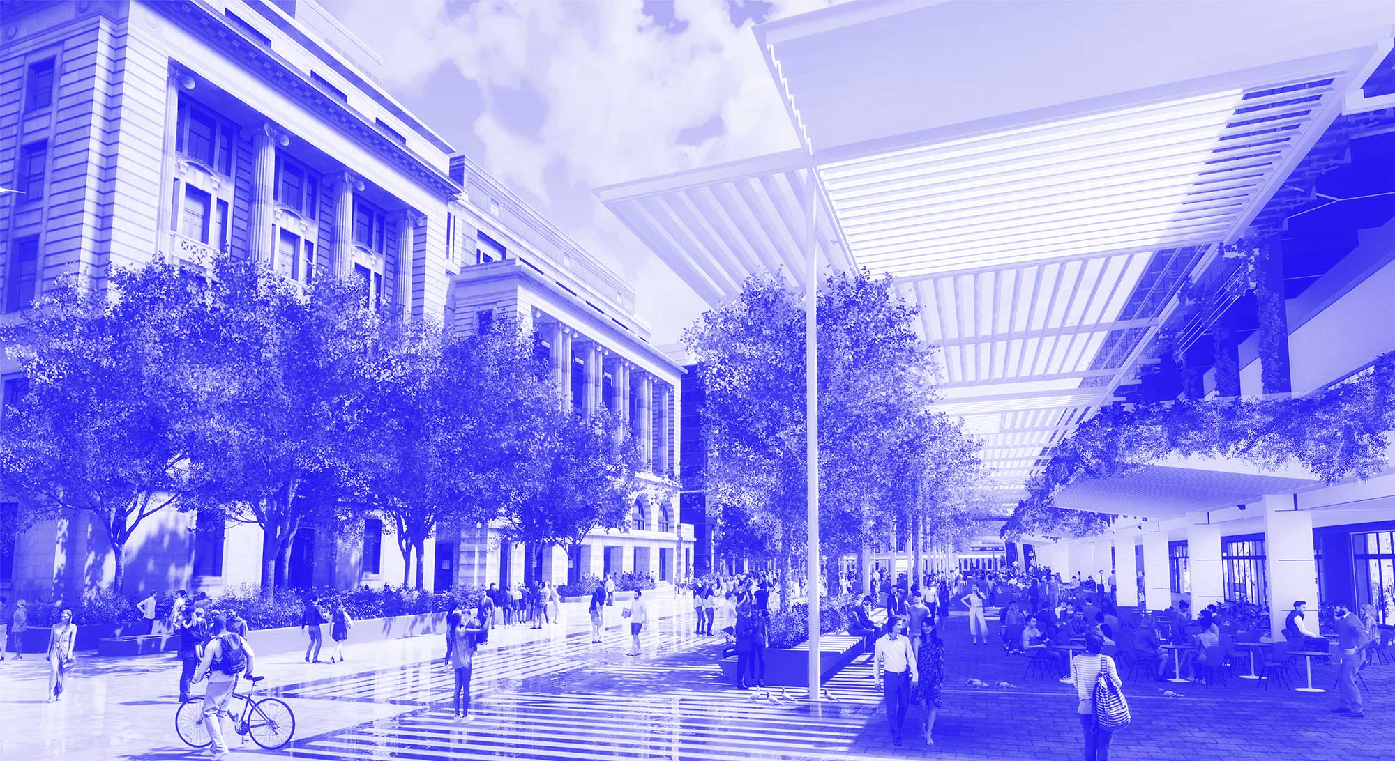 Forrest Place Masterpan With Studio